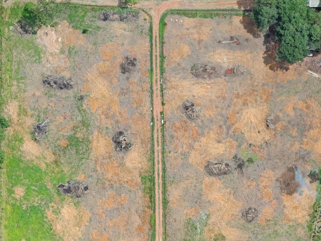 Watani demo plot, 6 Jan 2019