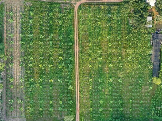 Watani demo plot, 24 Sep 2020