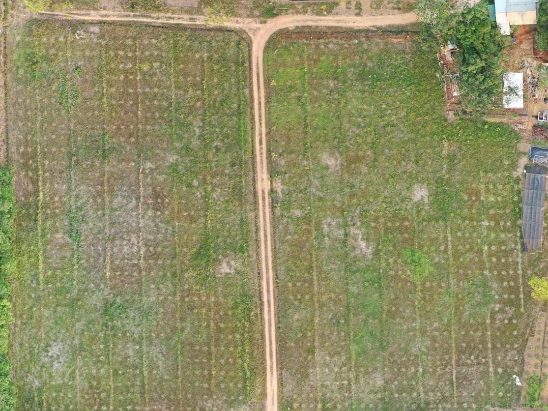Watani demo plot, 28 Oct 2019