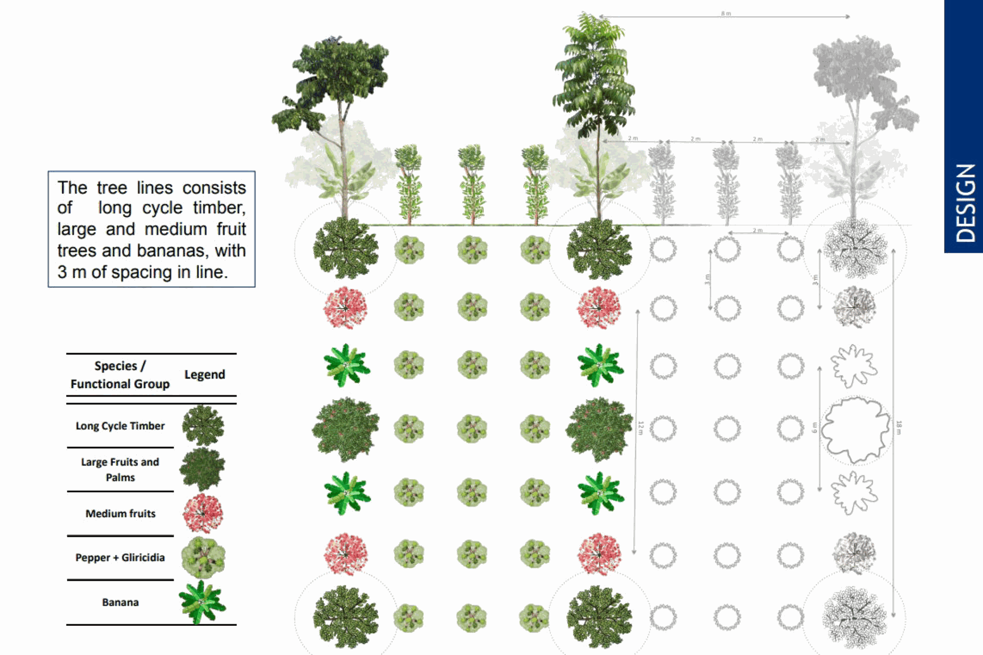 Design overview of the Watani demo plots on Bangka Island