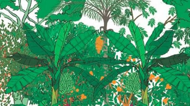 Training module cover: Keanekaragaman Tanaman dan Ekonomi Pola Wanatani