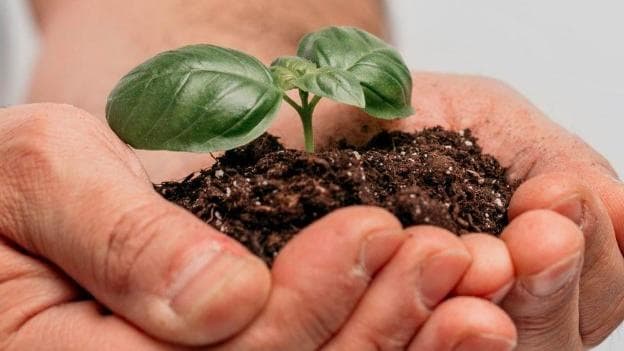 Training module cover: Tanah dan Air